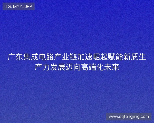 广东集成电路产业链加速崛起赋能新质生产力发展迈向高端化未来